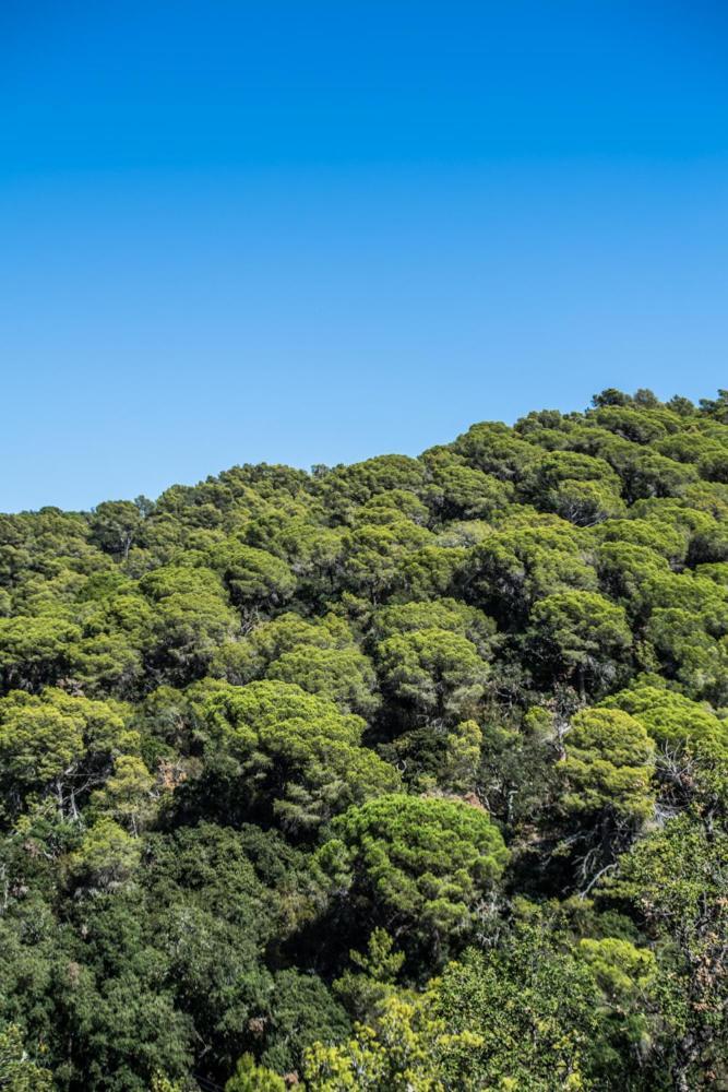 Camping Sunissim Cala Llevado 4 By Locatour Hotell Tossa de Mar Eksteriør bilde