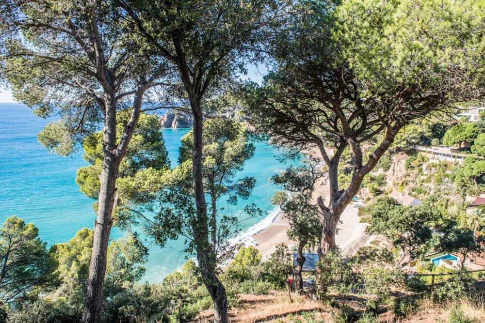 Camping Sunissim Cala Llevado 4 By Locatour Hotell Tossa de Mar Eksteriør bilde